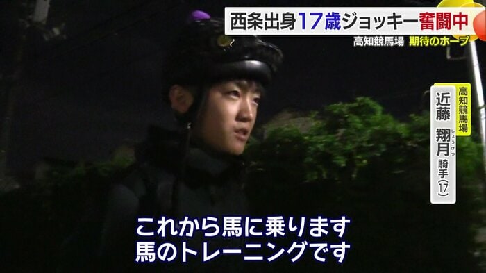 調教と呼ばれる馬のトレーニング