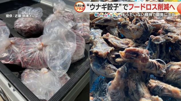 捨てられていたウナギの頭など