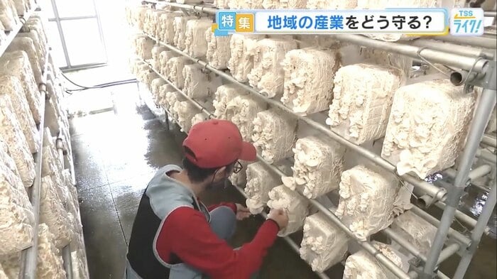 福祉サービス事業所「りんりん」