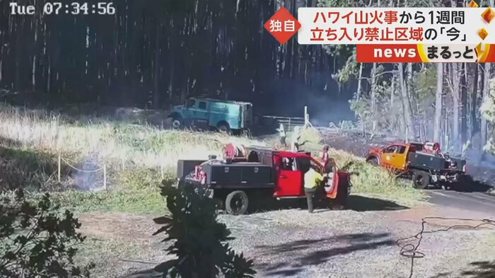 朝には火は道路付近まで燃え広がっていた