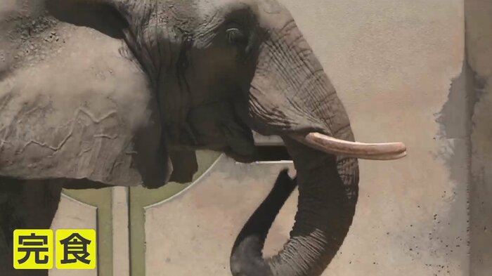 他の動物たちにもおすそ分けされたという