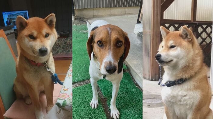 死因は謎に包まれたまま