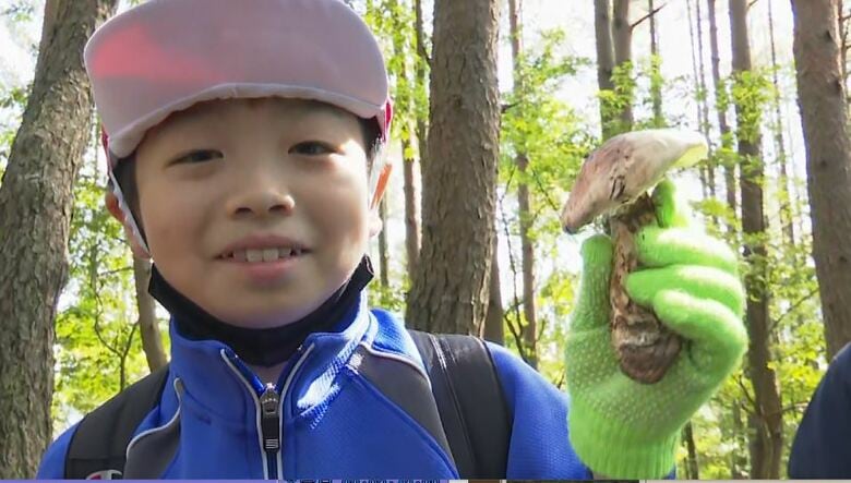 「ザ・マツタケなにおい」1時間半で23本！松茸が「豊作」　産地の小学生が収穫体験　給食で炊き込みご飯と茶碗蒸しに　長野・南相木村｜FNNプライムオンライン