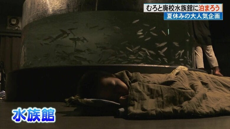 エイのそばで眠りシュモクザメと一緒に泳ぐ！？　小学生らが海の生き物とふれあう“むろと廃校水族館に泊まろう！”｜FNNプライムオンライン