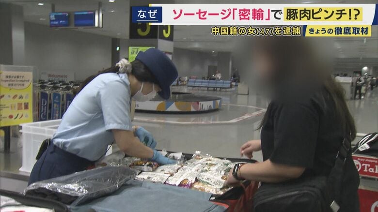 「何があかんねん」海外からの“肉の持ち込み”に対する甘い認識　報酬約4800円で中国からソーセージを密輸した疑いで逮捕者も　スペイン産生ハムの輸入停止にも波及する「アフリカ豚熱」の脅威｜FNNプライムオンライン