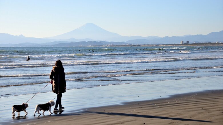 首都圏で最も住み続けたい街は「鵠沼」　TOP10で唯一の神奈川県　子育てや美味しい街ランキングも新設｜FNNプライムオンライン