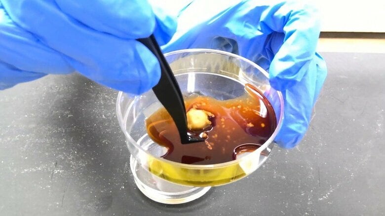 わさび醤油にアニサキスをつけても効果はない　仙台市ホームページより