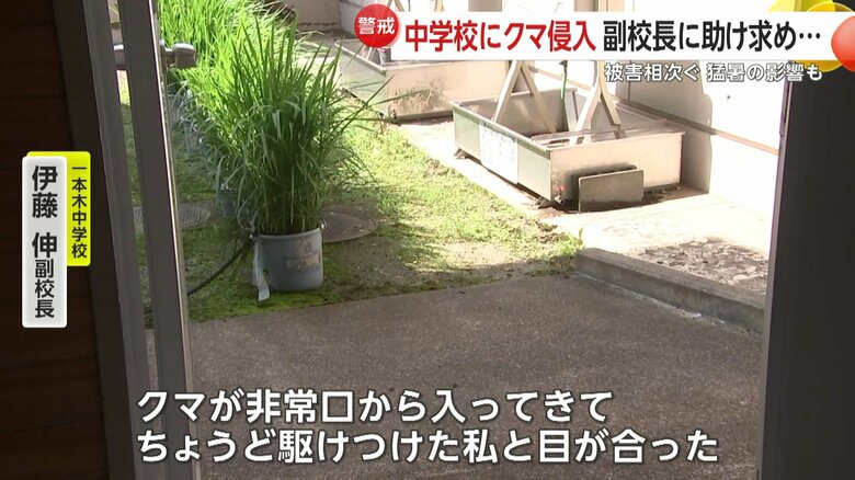 駆けつけた伊藤副校長とクマが鉢合わせし目が合ったという