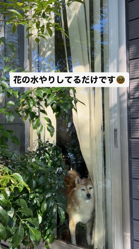 提供：橋本真実さん