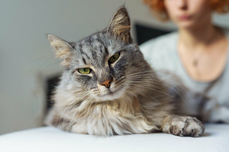 （画像はイメージ）