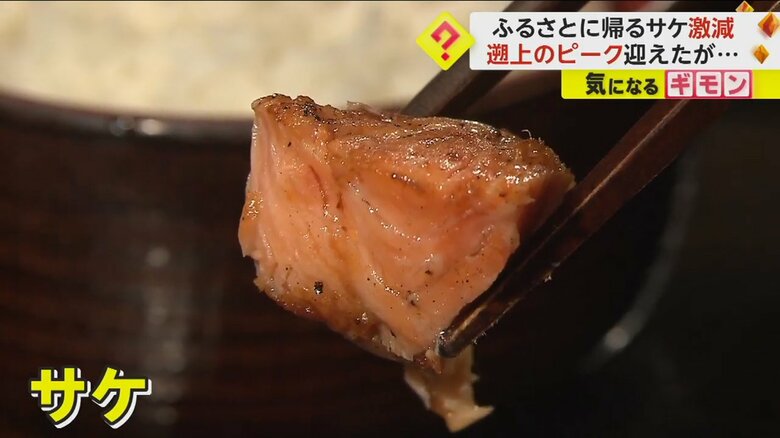 寒くなってきた今の時期が旬の“サケ”