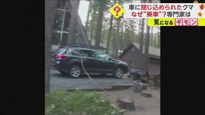 車のドアハンドルにロープを結びつけ引っ張っている（Washoe County Sheriff’s Office）