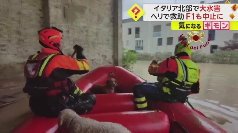ボートに座り、おとなしくしている犬