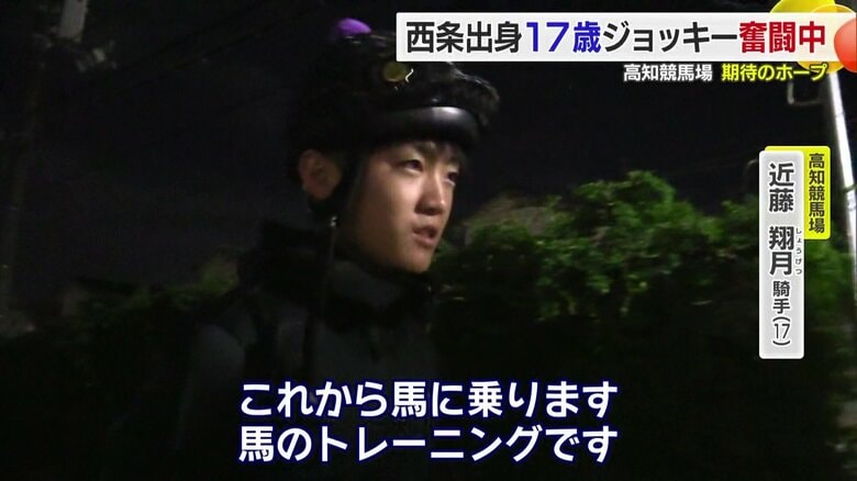 調教と呼ばれる馬のトレーニング