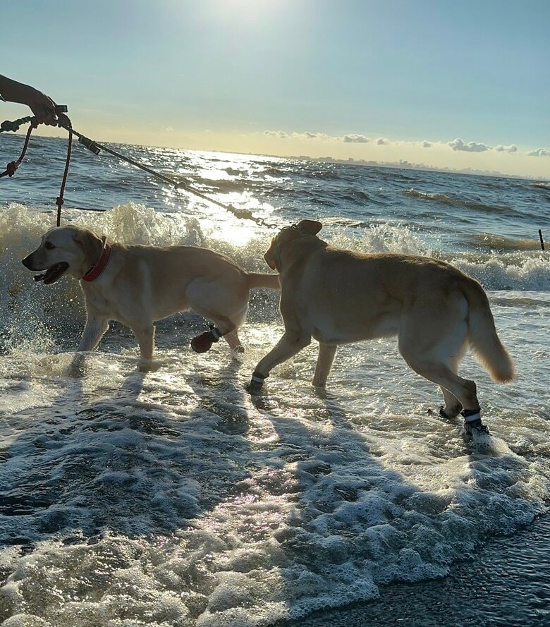 海を満喫中