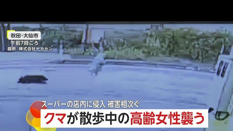 防犯カメラが捉えた、クマが高齢女性に襲いかかる瞬間⑧