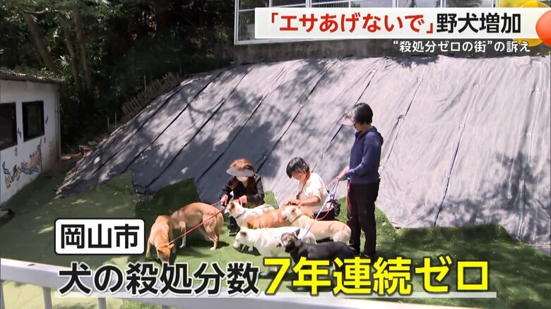 犬の殺処分数が7年連続ゼロの岡山市で行われている取り組みの様子