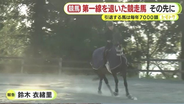 乗馬訓練の様子（奥山高原乗馬クラブ）