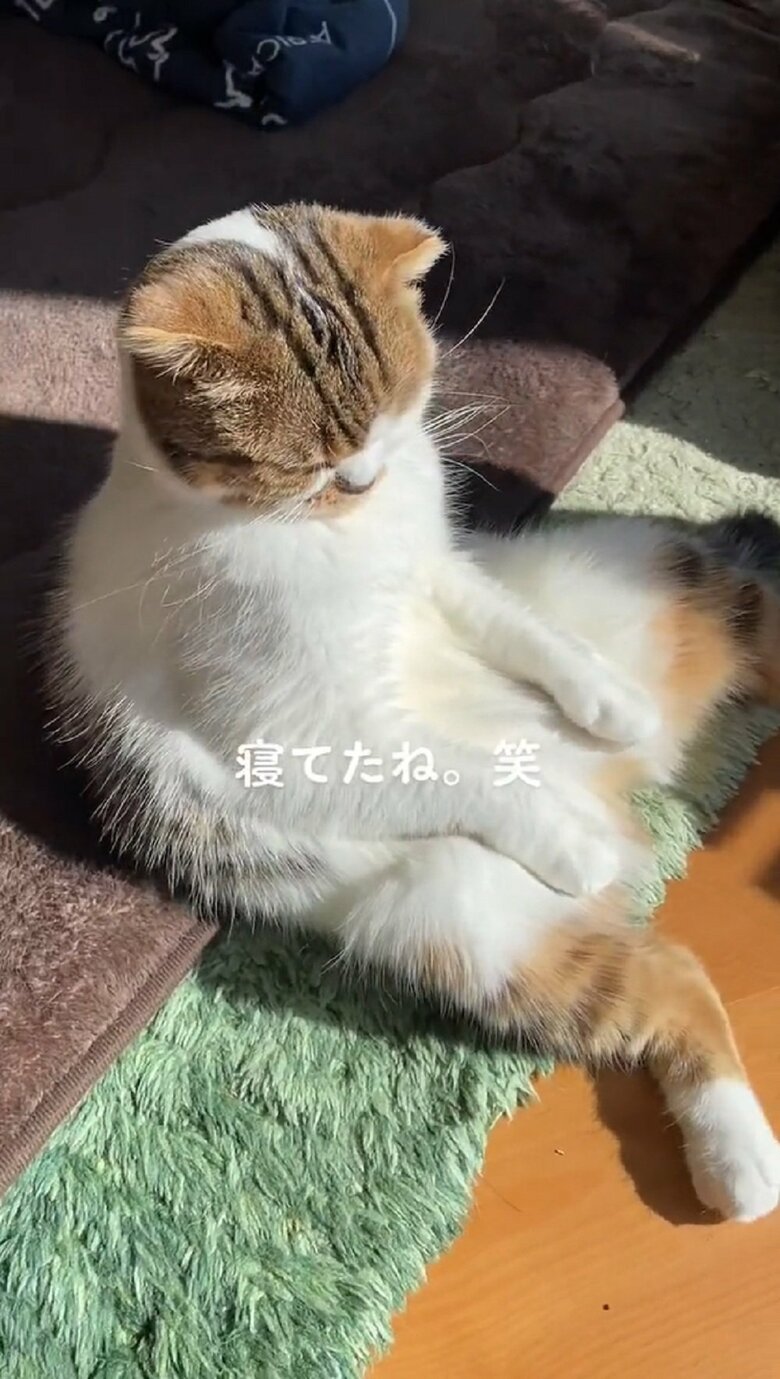 寝ている