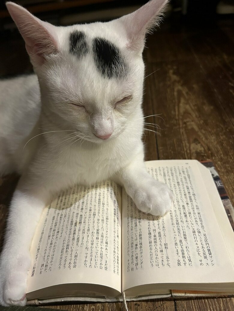 読書中なのに…