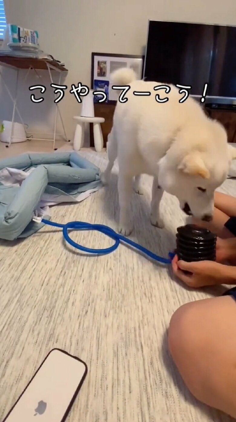 「こうやってーこう！」