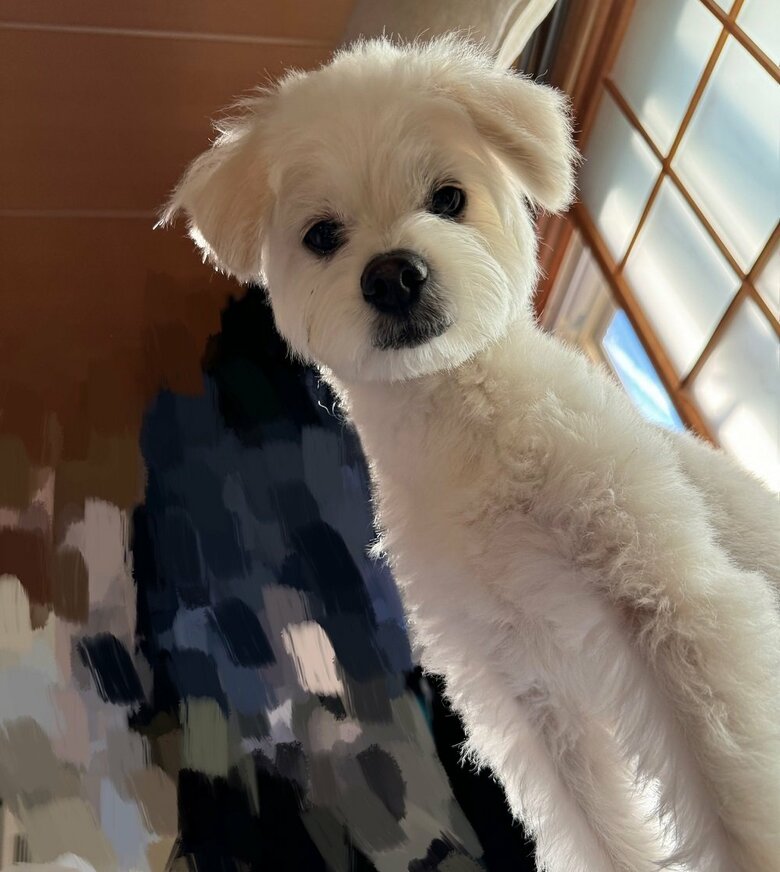 「起きて」と朝早くから起こしにくるという
