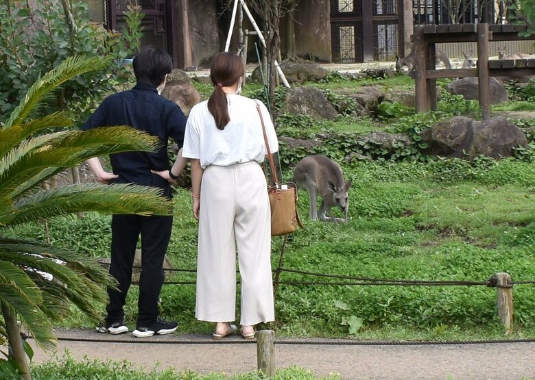 カンガルーウォークスルー（提供：横浜市立金沢動物園）
