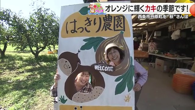 はっきり農園では「松本早生」や「次郎柿」も収穫時期