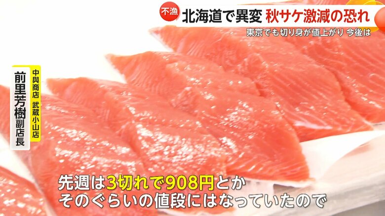 秋サケの切り身