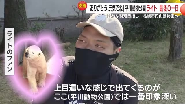 上目遣いが印象的なライト