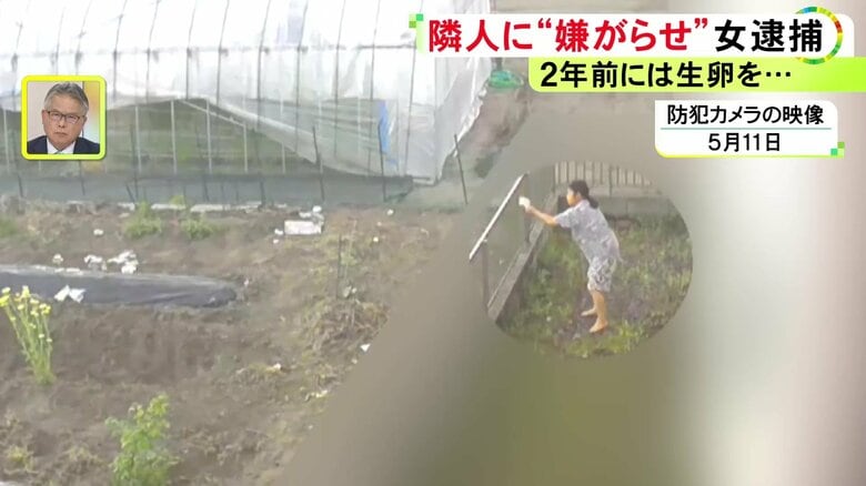 ニュースONE