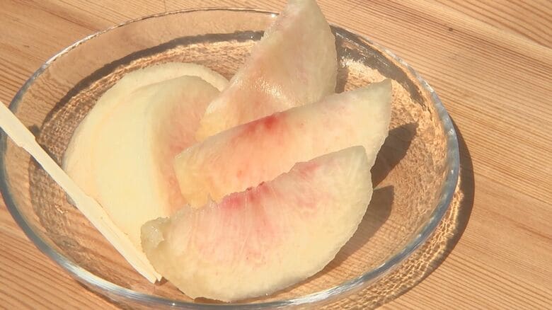 完熟の甘さと心地よい食感が両立した「朝獲り完熟桃」