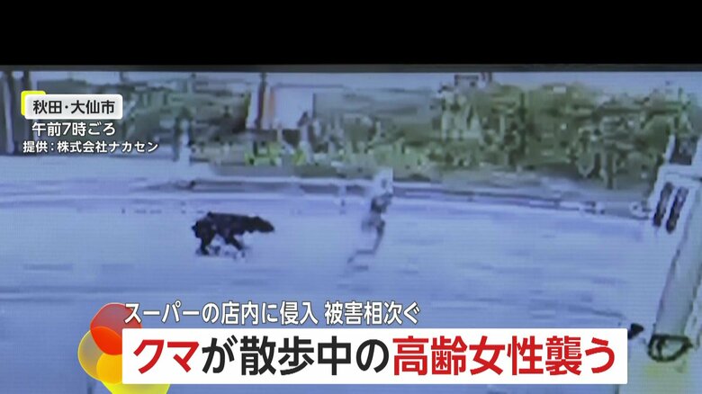 防犯カメラが捉えた、クマが高齢女性に襲いかかる瞬間⑨