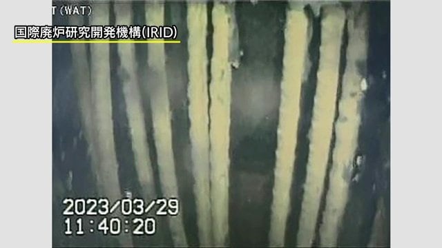 2023年3月の1号機内部調査　映像提供：IRID