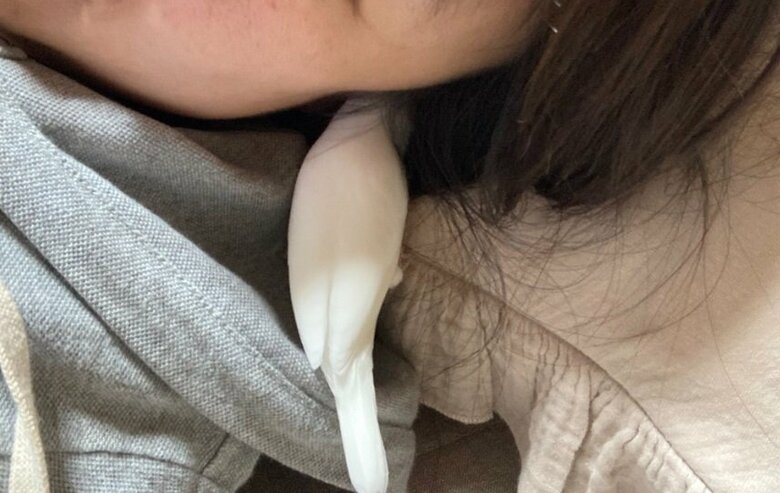 別の日のおいりくん。この時もやはり耳元で“ドデカボイス”を…