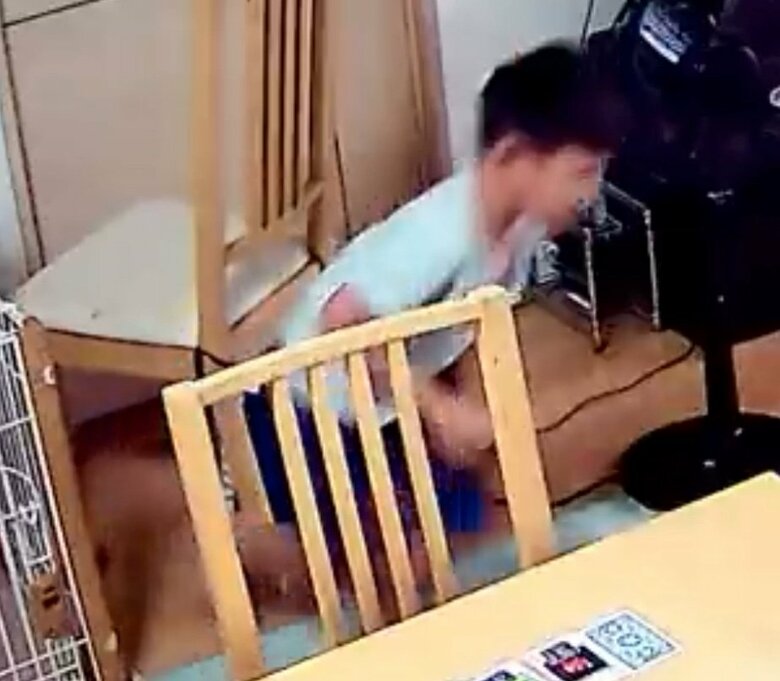 提供：柴犬勇者むぎさん