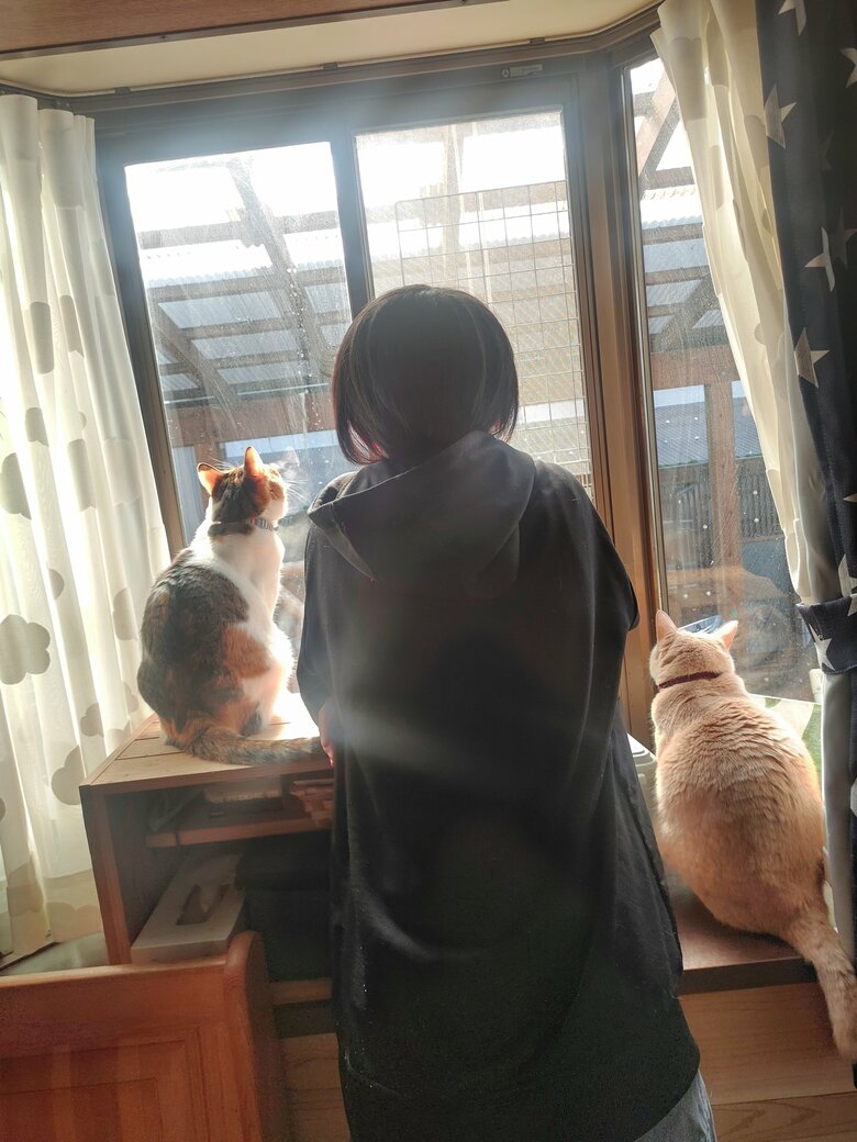 提供：nyaokoさん