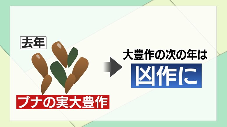 2021年が豊作だとすると、2022年は…