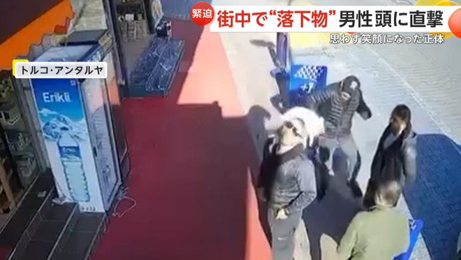 男性の頭にネコが落ちてきた瞬間