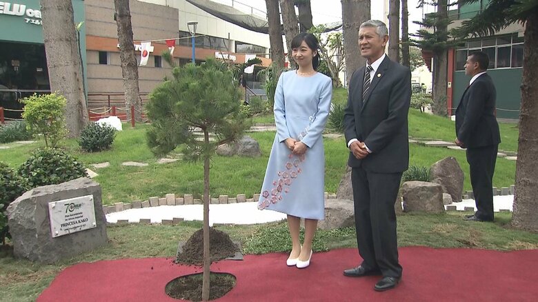 松を記念植樹される　ペルー・リマ（11月8日）