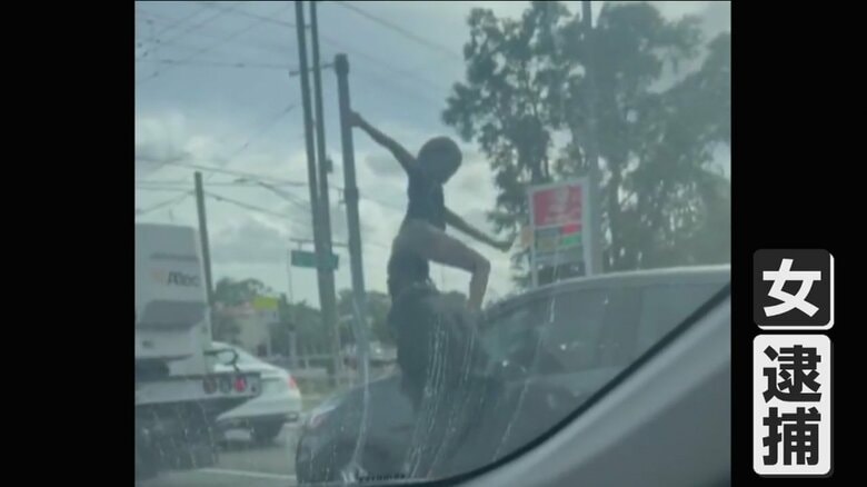 （FHP Tampa）