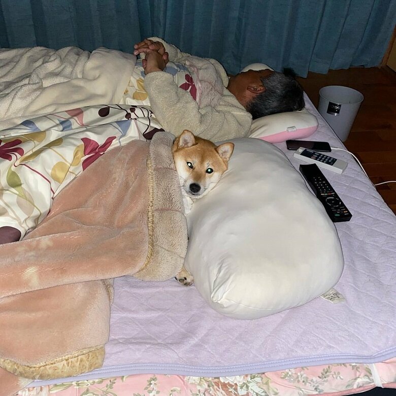 一緒に寝たりもする