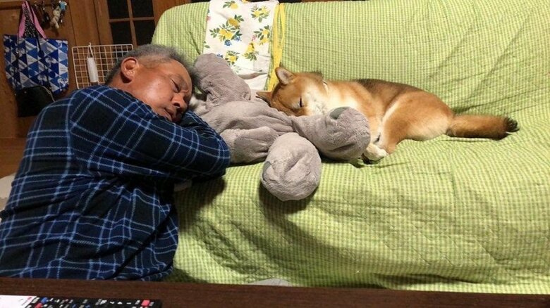 むぎちゃんも気にせずに寝ていた