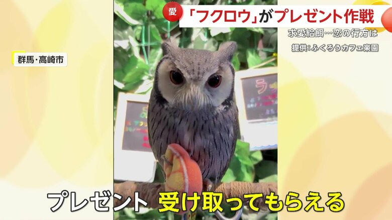 プレゼントを受け取ったホロちゃん