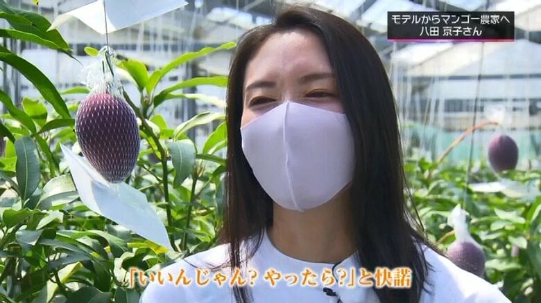 「シャトーマンゴー」への変更を提案した八田京子さん