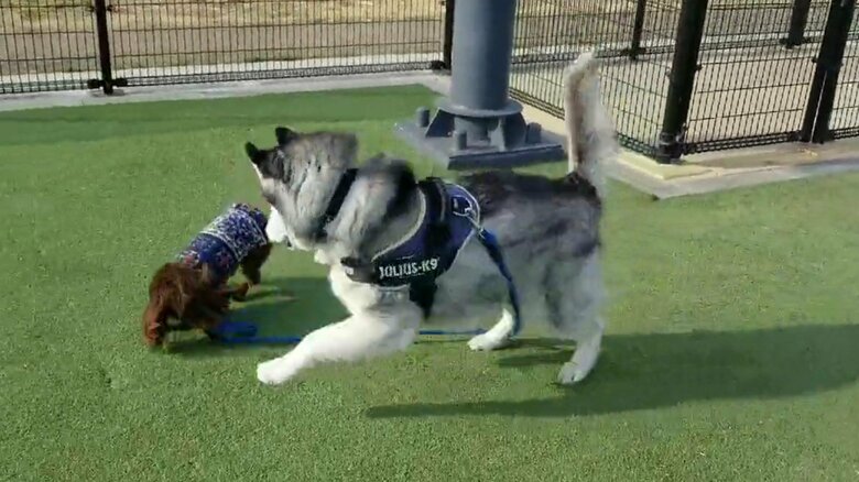 帰宅阻止された時の様子　その5