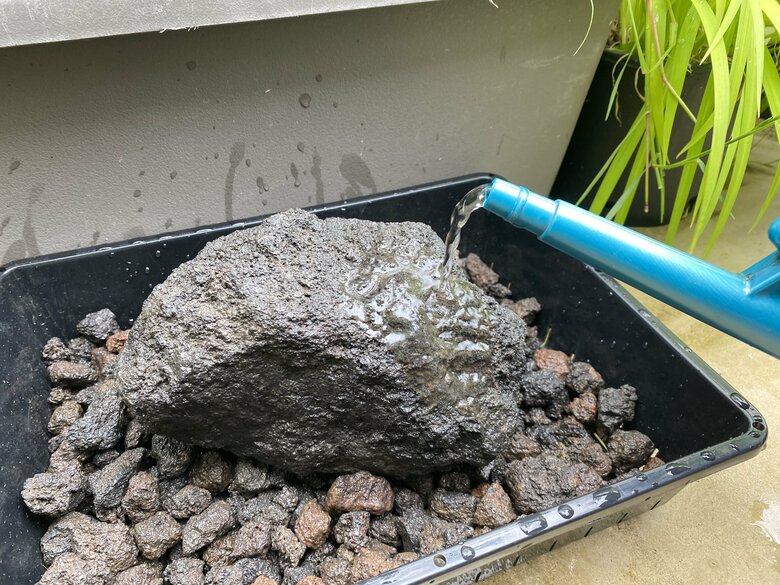 苔のむすまでチャレンジ：1日目