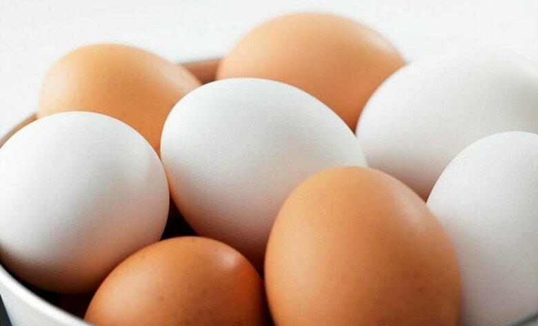 卵（イメージ）