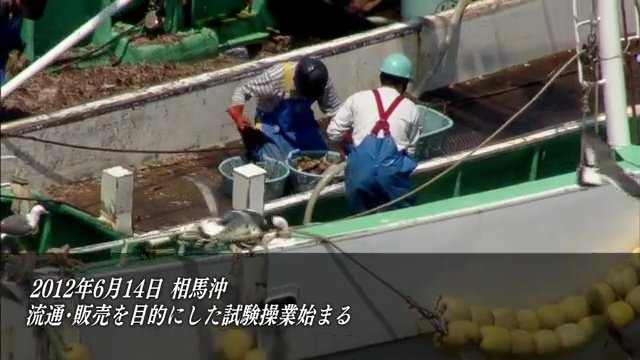 原発事故後　福島県の漁業は風評被害に苦しむ