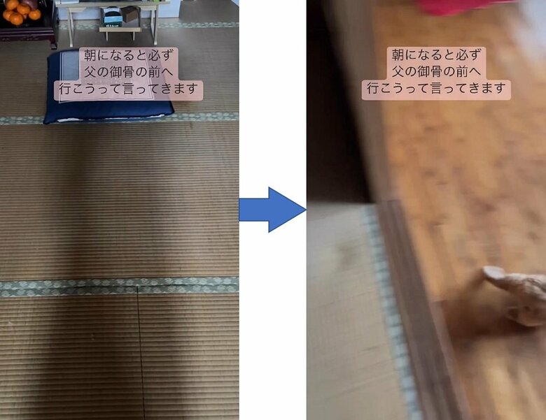 部屋の中に入ることはなく、去ってしまった
